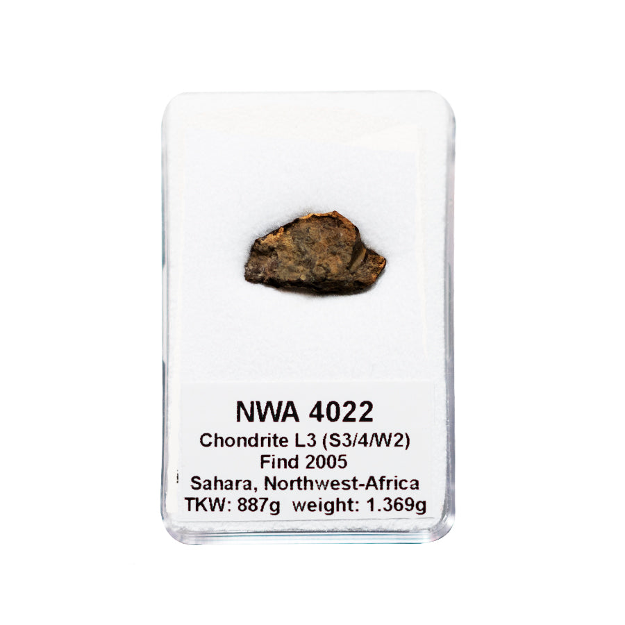 Météorite NWA 4022