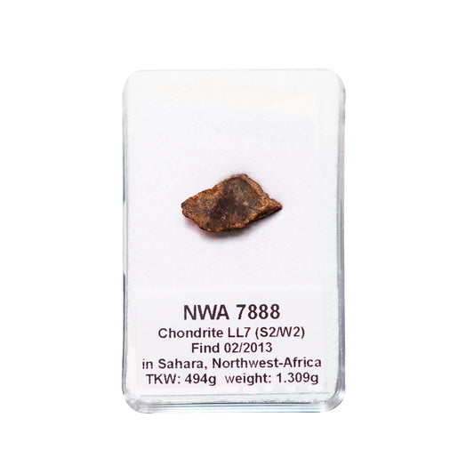 Météorite NWA 7888