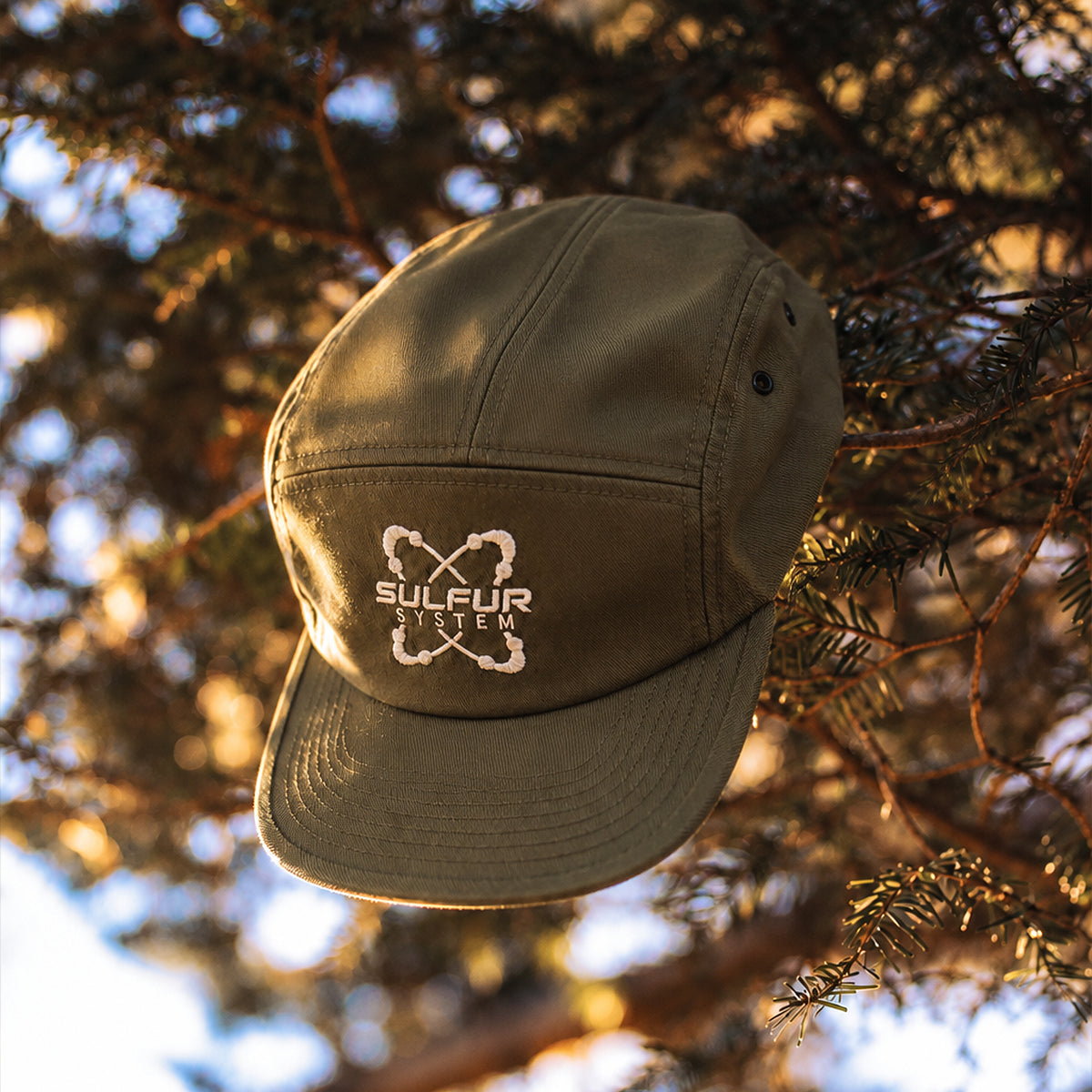 casquette verte sulfur system dans un arbre