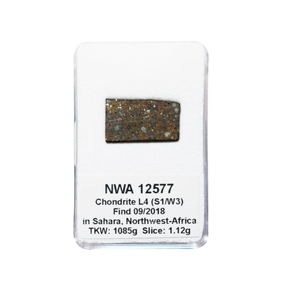 Météorite NWA 12577