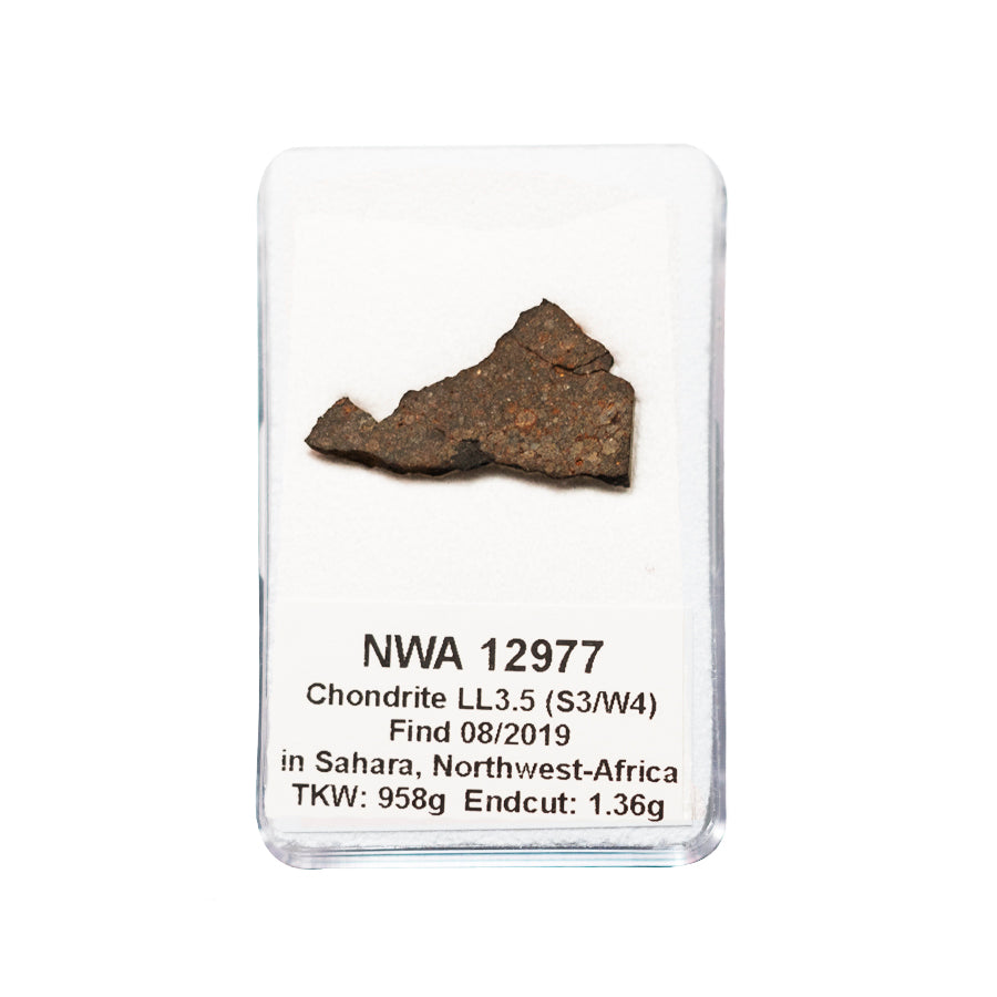 Météorite NWA 12977