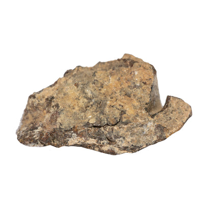 Météorite NWA 4022