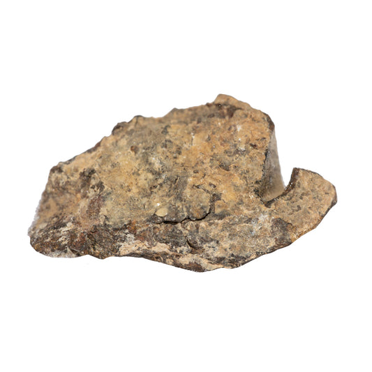 Météorite NWA 4022