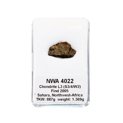 Météorite NWA 4022