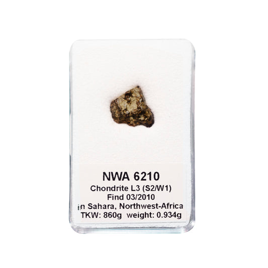 Météorite NWA 6210