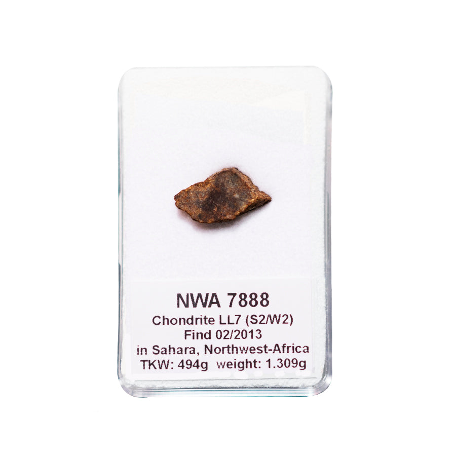 Météorite NWA 7888
