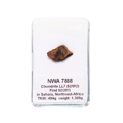 Météorite NWA 7888