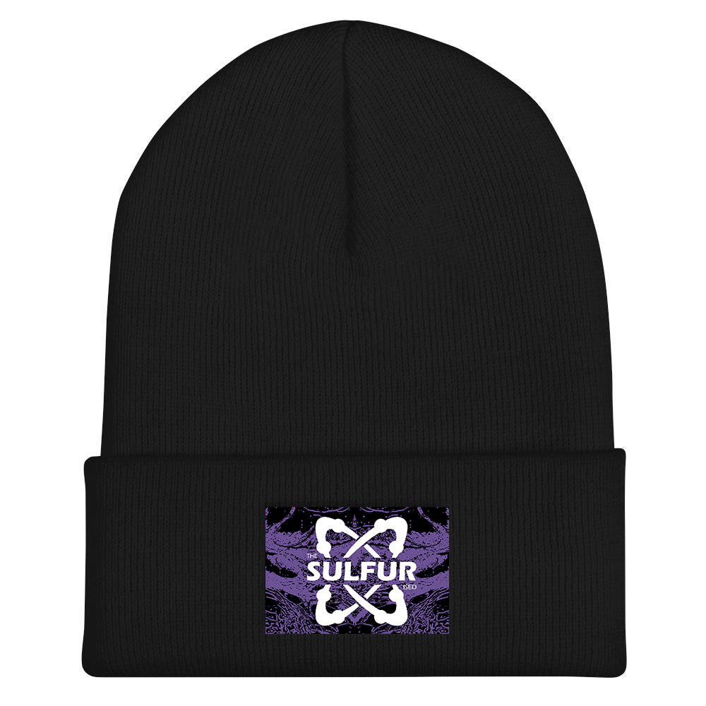 Bonnet Purple Symbiose
